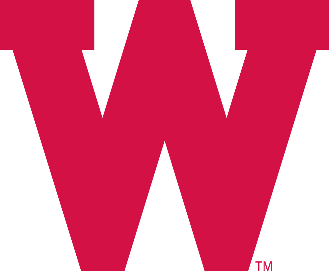 Wisconsin Badgers 1970-1991 Primary Logo diy iron on heat transfer